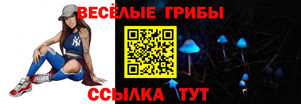 Галлюциногенные грибы GOLDEN TEACHER  Вход с VPN  дарнет шоп  Зима 
